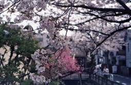 2004_selfdevelopment07