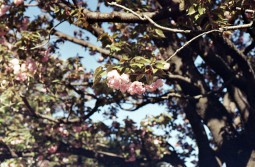 2004_selfdevelopment08