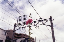 img_lux35_new_chemical_selfdev_05