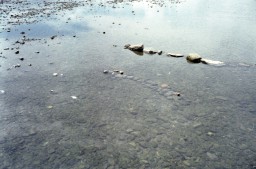 img_lux35_new_chemical_selfdev_04