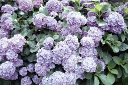 img_lux35_new_chemical_selfdev_03